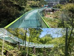 -龙井峡漂流