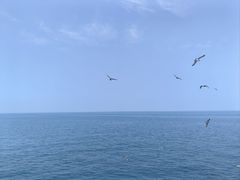 -海驴岛(荣成市)