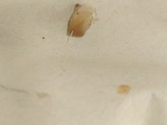 -九佰陆拾度土豆粉砂锅(普陀店)