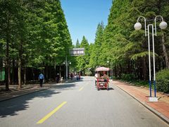 -日照海滨国家森林公园