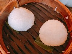 茨毛圆子-双塔老饭店
