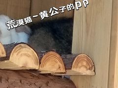 -青藏高原野生动物园