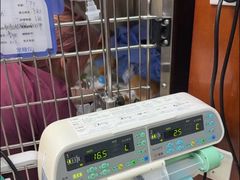 -美联众合动物医院·24h转诊中心