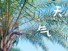 -黄金海岸环岛路