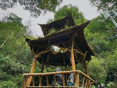 -青城山