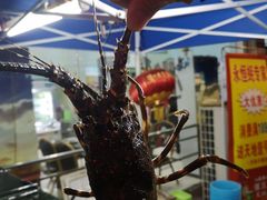 -蚝专家