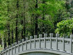 -四海公园(南山区)