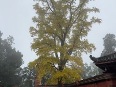 -金堂县云顶石城风景区