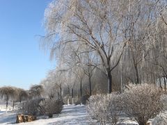 -丁香湖公园