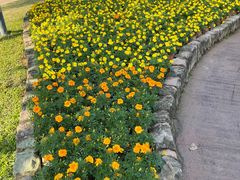 -广州莲花山旅游区