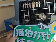 -宠颐生动物医院·心脏科·保险定点(锦阳分院)