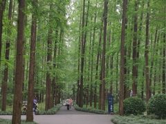 -上海怡沁园度假酒店