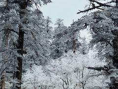 -瓦屋山景区
