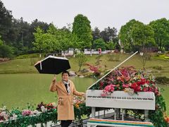 -铁山坪森林公园