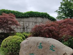 -嘉定紫藤园