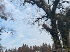 -杭州西湖柳莺里酒店·闻莺厅