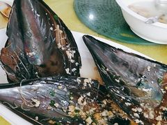 -锐记美食店·现捞海鲜(闸坡店)