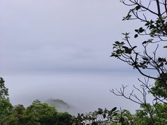 -梧桐山风景名胜区