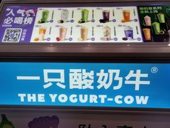 -一只酸奶牛(春熙路店)