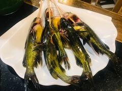 黄辣丁-蜀九香火锅(彩虹店)