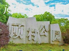 -顾村公园