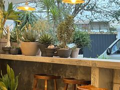 -自由生长植物工作室(深港花卉中心店)