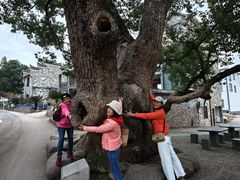 -清漾毛氏文化村