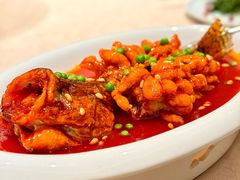 松鼠桂鱼-唐廊烤鸭店(工体店)