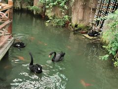 -第五季龙水凤港生态露营农场
