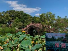 -桂湖森林公园