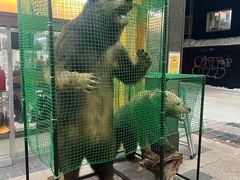 -狸小路商店街