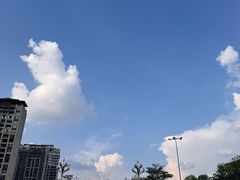 -云溪植物园