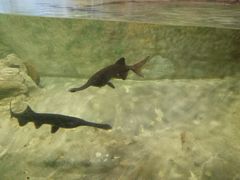 -新加坡海洋生态馆