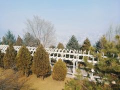 -兰山公园