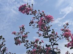 -玄武湖景区-情侣园游乐场