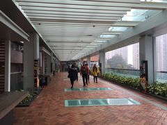 -香港大学