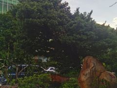 -广东福力达圣心食品有限公司