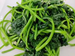 -锦粤宫·精致粤菜(深圳北站店)