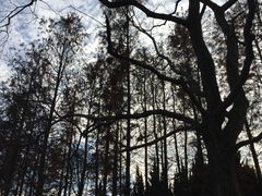 -白塘生态植物园