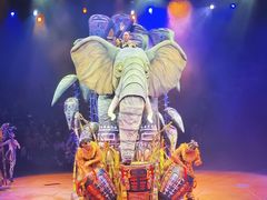 -狮子王庆典