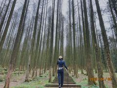 -武陵山森林公园