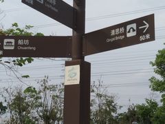 -王借岗森林公园