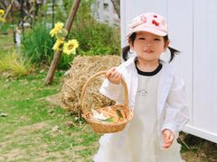-金鸡湖桃花岛