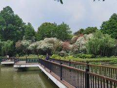 -黄兴公园