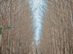 -哈尔滨师范大学(松北校区)