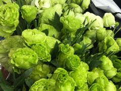 -怡花宜木鲜花店(朝阳路店)