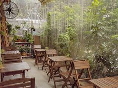 -绿小院(荔湾店)