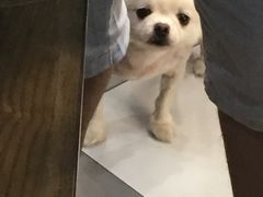 -一杯绿豆汤(柏庐广场店)