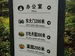 -洛阳市牡丹公园