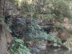 -燕晗山郊野公园